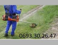 Coupe gazon+taille haie+coupe bois+transport deschets vers decheterie+bricole